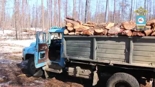 Незаконная вырубка леса в Намском районе