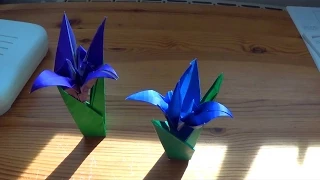 How to fold yourself an Origami Iris (flower) in less than ten minutes