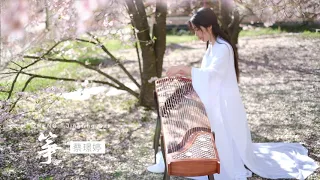 纯筝《不染》Unsullied | Guzheng | with the beautiful cherry blossom in Germany ( KIT Campus Süd)