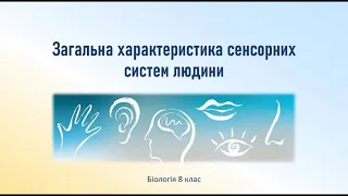 Біологія людини. Загальна характеристика сенсорних систем