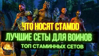 Топ сеты для воинов в ESO в PVE | 5 кусков, Монстр-Сеты и Арены