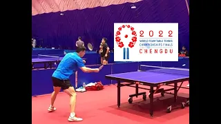 Ma Long and Fan Zhendong Warm up in World Championship at Chengdu (国乒备战成都世乒赛） #malong #fanzhendong