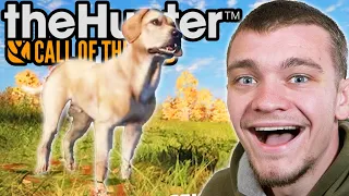 We Got New Dogs in Hunter call of the Wild!