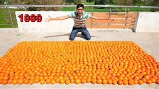 Extracting Juice From 1000 Oranges | 1000 संतरे में कितना लीटर जूस निकलेगा?