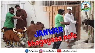 | Janwar Kha Gaya Note Prank | By Nadir Ali In | P4 Pakao | 2019