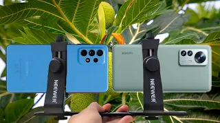 Samsung Galaxy A73 5G Vs Xiaomi 12 Pro | Camera Test