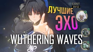 Wuthering Waves - ГАЙД КАК подобрать себе ЭХО? Лучшие эхо на каждую стихию. НЕ Tier List