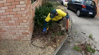 We were Instructed to Scorch the Earth | Complete Garden Removal