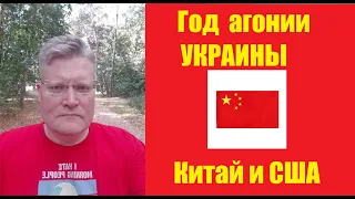 АГОНИЯ УКРАИНЫ - ГОД | Китайский мирный план с Задумовым