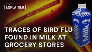 Evidence of H5N1 bird flu found in grocery milk