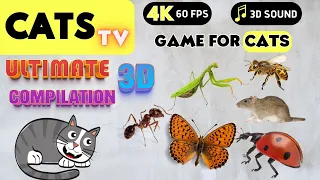 CAT TV - ULTIMATE 3D compilation 🪰Catching Mice 🐭🐞 for CATS 😻 4K 🔴 3 HOURS