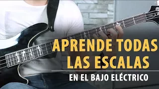 Aprende TODAS LAS ESCALAS en el Bajo en 9 Minutos - Tutorial