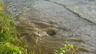 Draining Big Street Flood In A Work Zone, Construction Site, Large Whirlpools