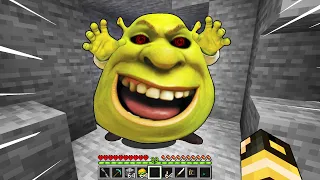 HO INCONTRATO SHREK NEL MIO MONDO DI MINECRAFT!!