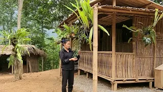 FULL VIDEO: Building a Dog House, Growing Orchid & Dried Bamboo,Gardening,Daily Work | Dang Thi Mui