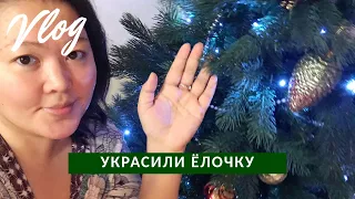 #165 ТЕСТИРУЮ РЫБКУ | УКРАСИЛИ ЁЛОЧКУ | ЧЕРНАЯ ПЯТНИЦА В ГАЛАМАРТ | ПОКУПКИ ДЛЯ ЁЛКИ