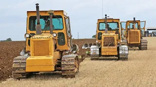 Caterpillar D5B SA VHP, D6D SA VHP and D8H 22A ploughing | Dowdeswell DP1 | 26 furrows | Classic Cat