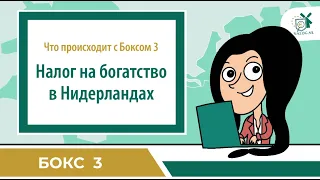 Что происходит с Боксом 3: рассказываем о налоге на богатство в Нидерландах