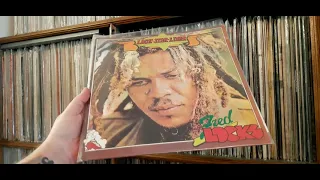 Ryan's Valley Vinyl Vault # 11     Reggae vinyl collection (pt.1)    2021