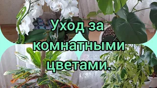 🪴🌵🌱☘Уход за комнатными цветами зимой.