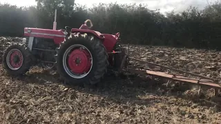 Farmer Toby, Massey Ferguson 188 4wd