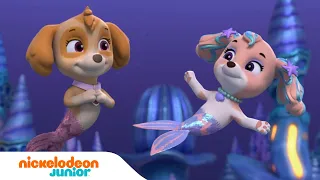 PAW Patrol : La Pat' Patrouille | Les chiots sauvent un château sous-marin 🏰 | Nickelodeon Jr.