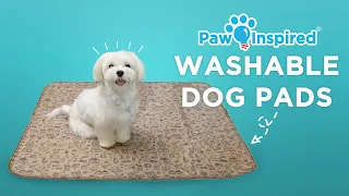 Washable Dog Pads | Paw Inspired® Pee Pad and Training Pad