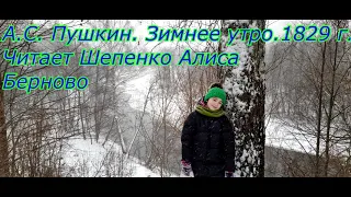 А.С.Пушкин. Зимнее утро. Читает Шепенко Алиса.