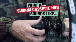 What A Colony Swarm Cassette Hub Sounds Like...