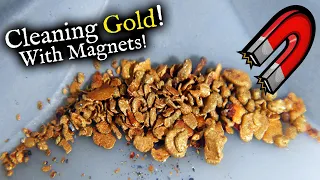 Using Magnets to Clean GOLD!