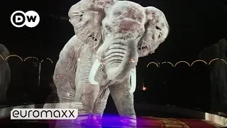Holographic Animals at Circus Roncalli - Holograms Replace Live Animals in a german Circus