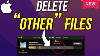How To Delete 'Other' Files From Mac