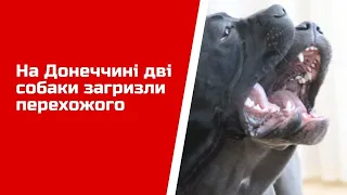 На Донеччині дві собаки загризли перехожого