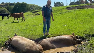 A MAIOR RIQUEZA QUE SE TEM SÍTIO É....