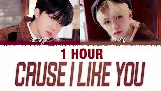 [1 HOUR] CHANGBIN, FELIX - 'Cause I Like You' (좋으니까) Lyrics [Color Coded_Han_Rom_Eng]
