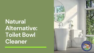Natural Alternatives: Toilet Bowl Cleaner