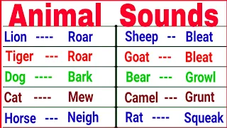 animal sounds | cries of animals