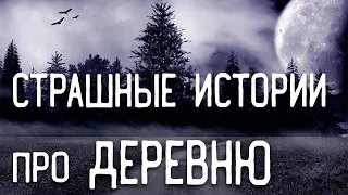 СТРАШНЫЕ ИСТОРИИ НА НОЧЬ / СТРАШНЫЕ ИСТОРИИ ПРО ДЕРЕВНЮ / СТРАШНЫЕ ИСТОРИИ ПРО ВЕДЬМ / ЛЕС