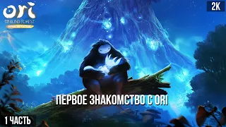 [Ori and the Blind Forest] ПЕРВОЕ ЗНАКОМСТВО С ORI! #1
