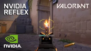 NVIDIA Reflex in Valorant Explained