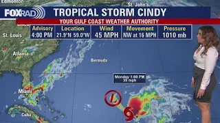 Tropical Weather Forecast - June 25, 2023