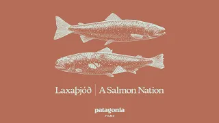 Laxaþjóð | A Salmon Nation | Patagonia Films