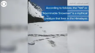 VIDEO: Indian army expedition team claims they found 'Yeti' footprints in Himalayas