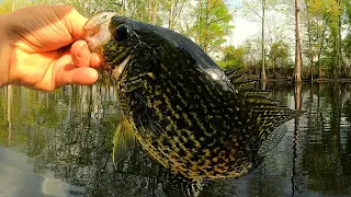 Hand tied Crappie jigs - Spring Crappie fishing tips