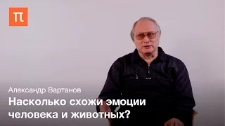 Эмоции и глоттогенез – Александр Вартанов