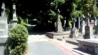 Лычаковское кладбище (могила Ивасюка) заложено в 1786 г (интересные места)