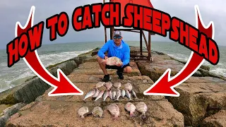 How to Catch Sheepshead from the Jetty | Jetty was on FIRE !!!!!!