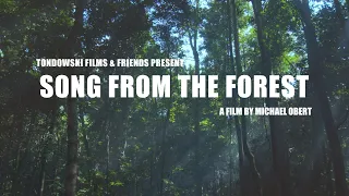 Song From The Forest  / AFF 2020