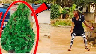 BEST OF BUSHMAN SCARE PRANK IN AFRICA 2022 WEEKLY COMPILATION!!! THINKS BUSHMAN WAS A TREE