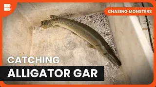 Surviving Alligator Territory - Chasing Monsters - S02 EP2 - Nature & Adventure Documentary